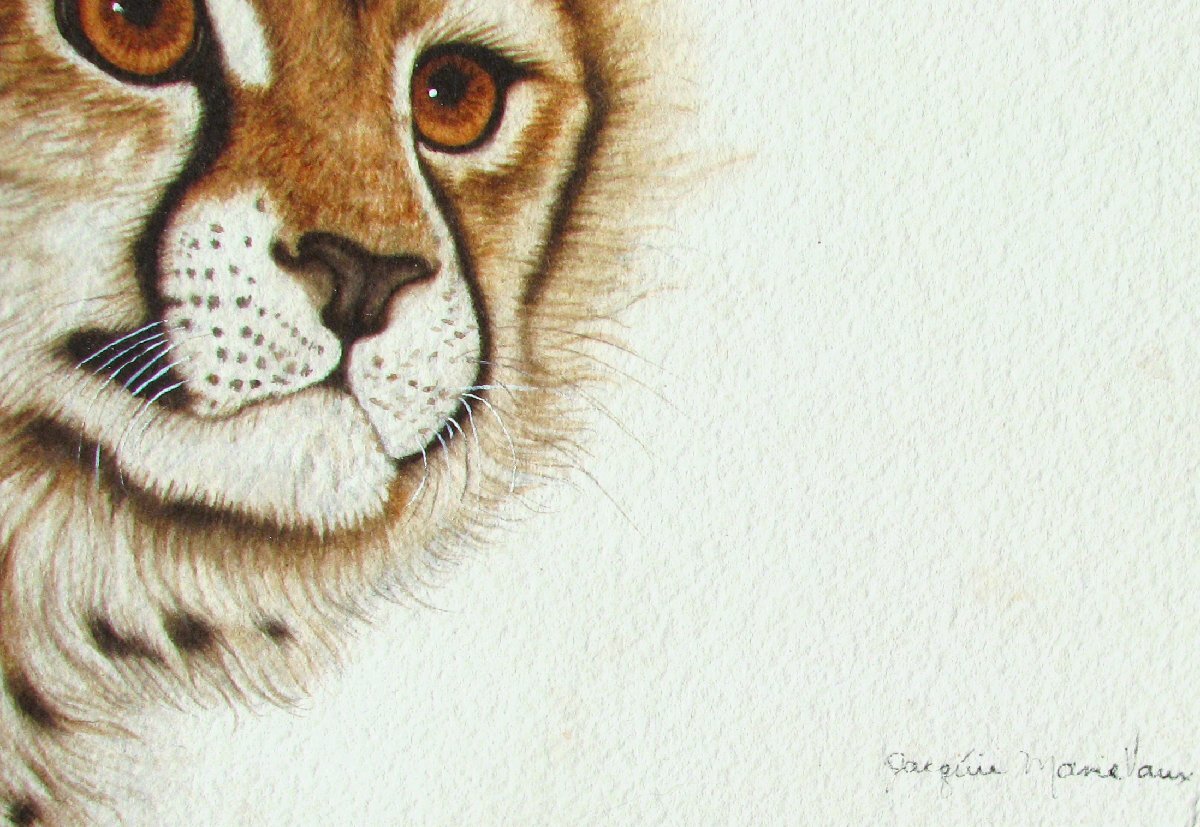 野性動物絵画の女王，ジャッキーマリーヴォーグ「チーターカブ