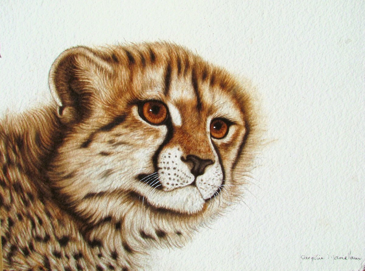 野性動物絵画の女王,ジャッキーマリーヴォーグ「チーターカブ」3号大,オリジナル 野性動物絵画の女王,ジャッキーマリーヴォーグ「チーターカブ」3