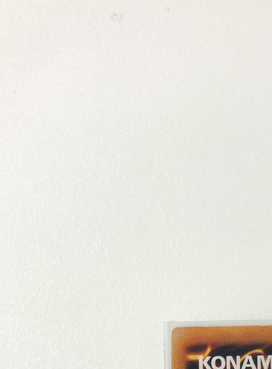 激レア 希少 美品 遊戯王 真紅眼の黒竜 レッドアイズブラック 激レア 希少 美品 遊戯王 真紅眼の黒竜 レッドアイズブラック
