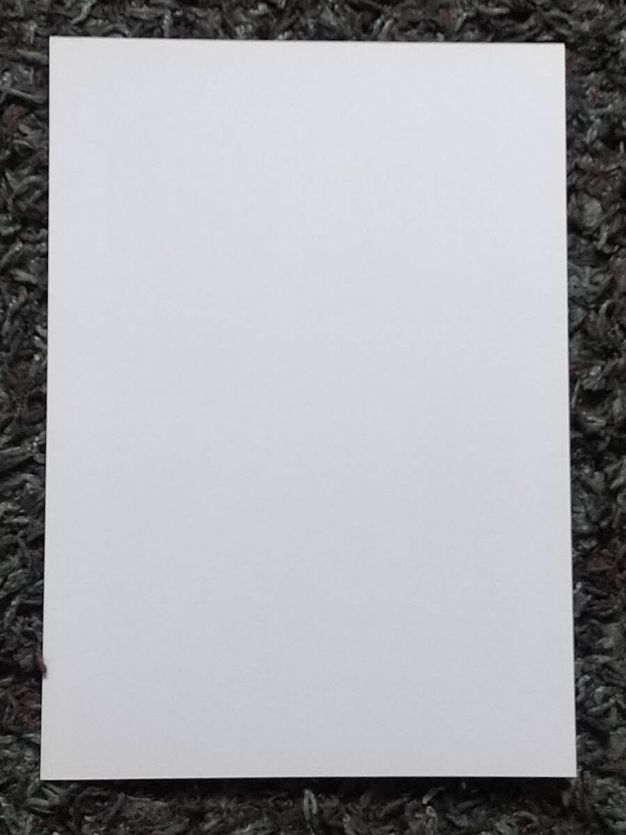 美品 エリック・ホルク「サマーパレス」シルクスクリーン 直筆サイン入り 額縁入り Amazon.co.jp: ヤマガタ 「エリザベステーラー」 シルク