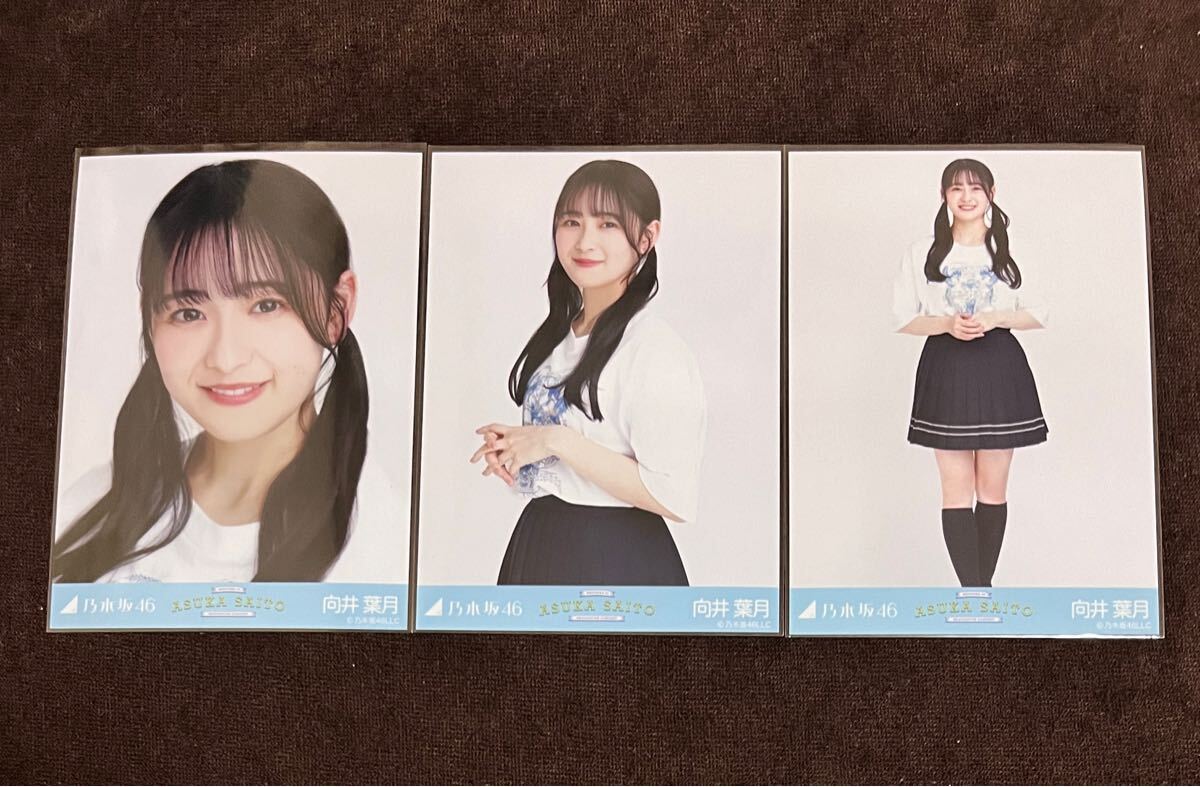 乃木坂46 向井葉月 生写真 齋藤飛鳥卒業コンサートTシャツ 齋藤 乃木坂46 向井葉月 生写真 齋藤飛鳥卒業コンサートTシャツ 齋藤
