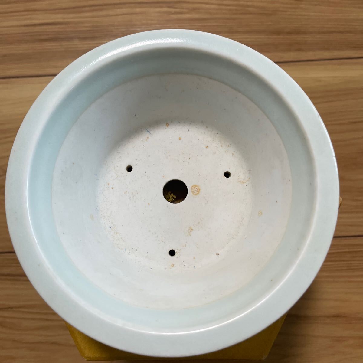 伊万里 丸形 盆栽鉢 植木鉢 盆栽鉢 植木鉢 伊万里 真泉作 丸鉢 絵鉢 桜印