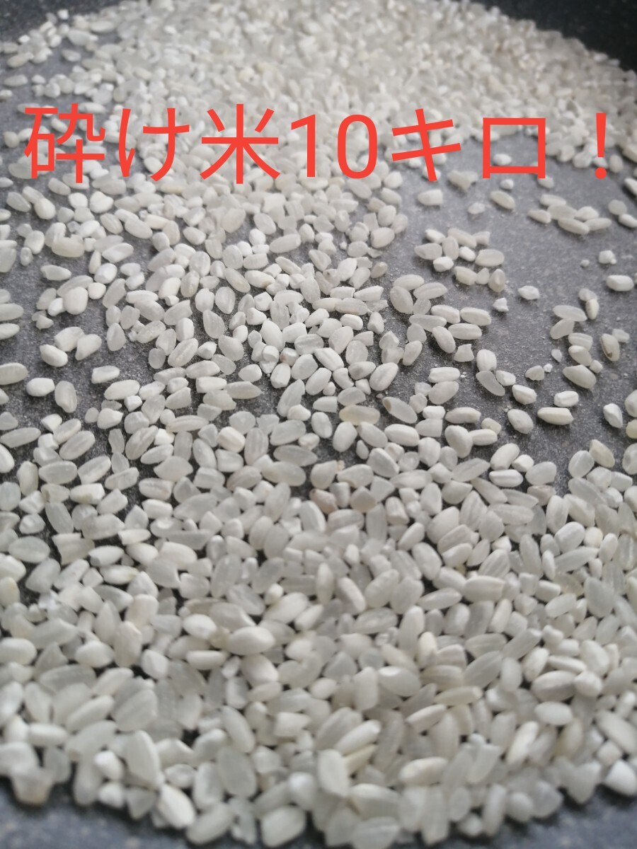 砕け米 米砕け 鳥 エサ 飼料10キロ くず米(エサ)|売買された 砕け米 米砕け 鳥 エサ 飼料10キロ くず米(エサ)|売買された
