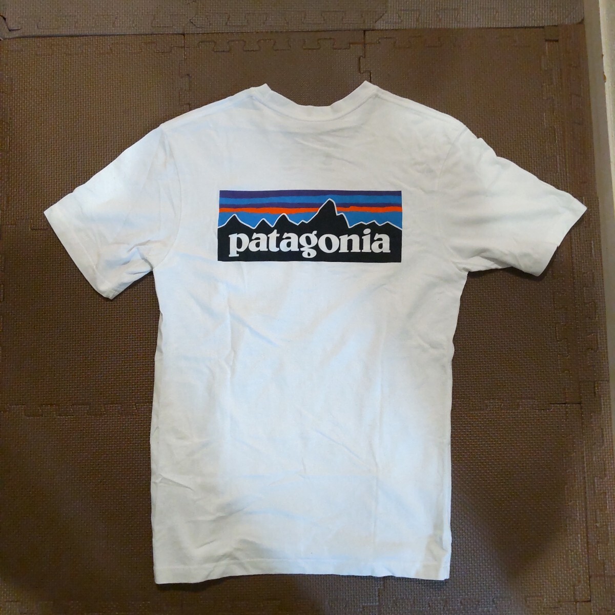 パタゴニア 半袖Tシャツ ホワイト 白サイズS着丈約70センチ パタゴニア 半袖Tシャツ ホワイト 白サイズS着丈約70センチ