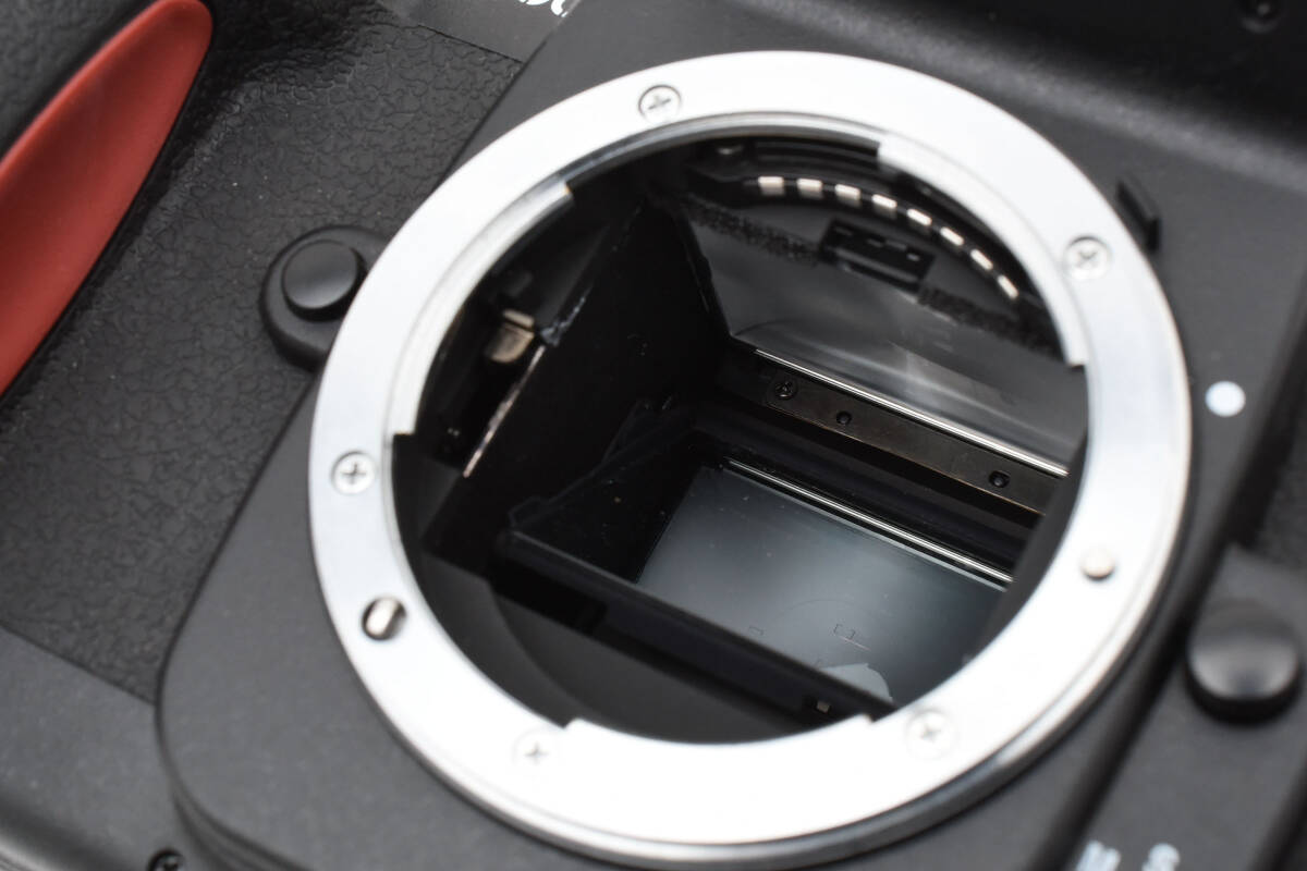 □ 美品 □ ニコン Nikon F100 ボディ #YO310(ニコン)|売買され □ 美品 □ ニコン Nikon F100 ボディ #YO310(ニコン)|売買され