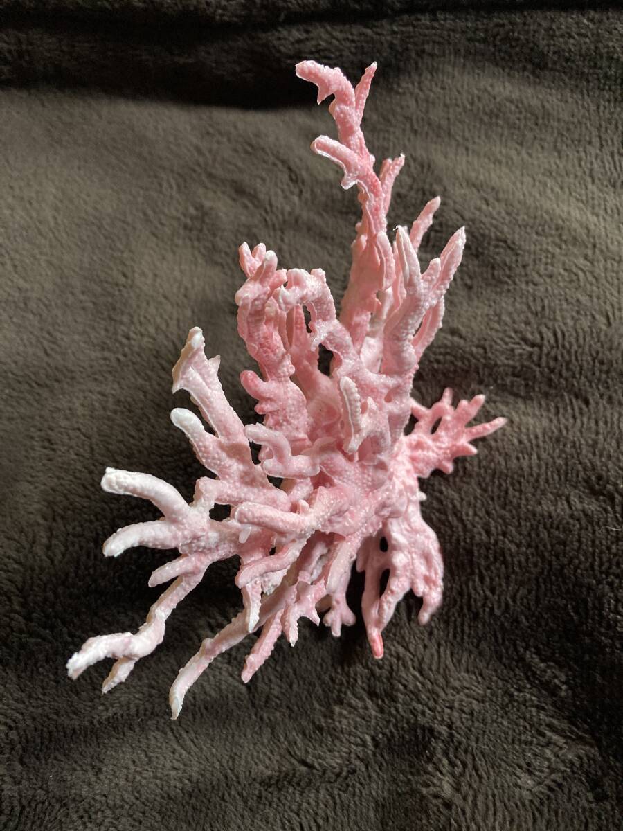 人工 珊瑚 サンゴ ピンク オブジェ 水槽 オーナメント 飾り アクアリウム