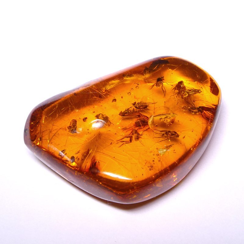 花◇コレクター垂涎!古代の天然琥珀原石 節足動物昆虫類入琥珀 花◇コレクター垂涎!古代の天然琥珀原石 節足動物昆虫類入琥珀