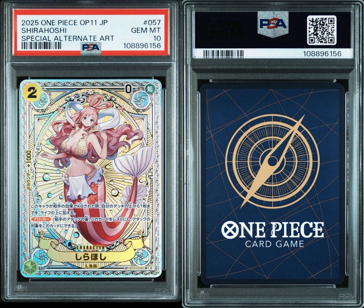 Yahoo!オークション - 【All PSA10】神速の拳 sp psa10 6連番 Yahoo!オークション - 【All PSA10】神速の拳 sp psa10 6連番