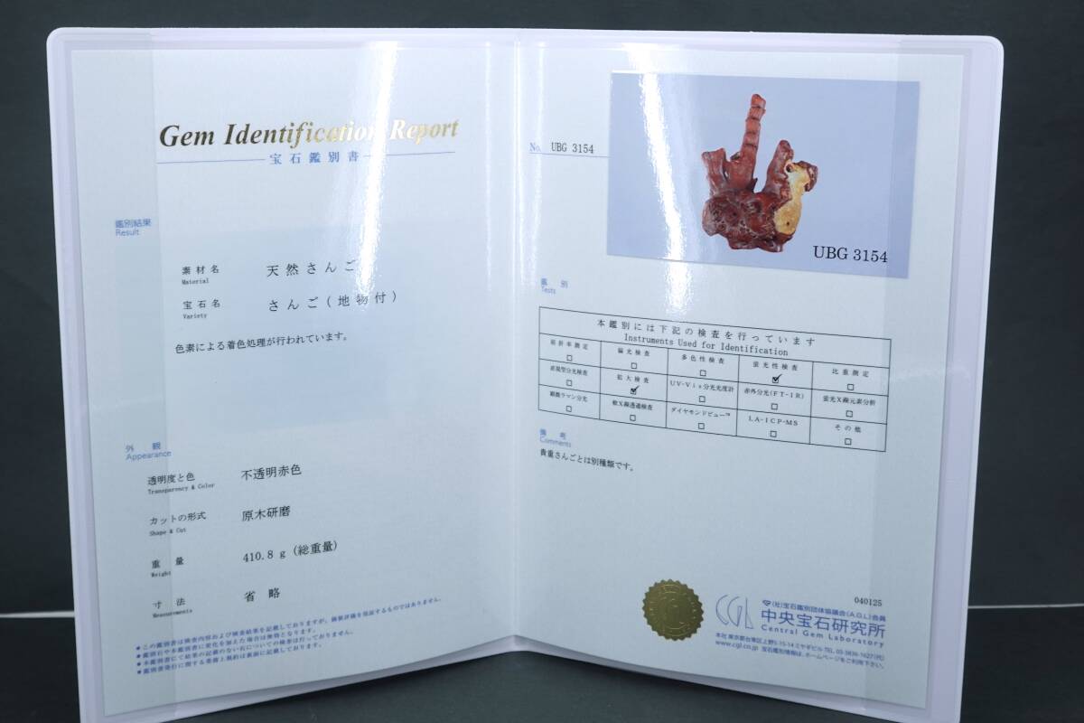 さんご ☆鑑別書あり☆ 原木 410.8g 珊瑚 コーラル サンゴ Coral さんご ☆鑑別書あり☆ 原木 410.8g 珊瑚 コーラル サンゴ Coral