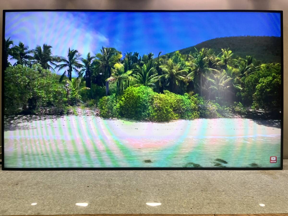 TD-Z553 (フルHD 55型IPS液晶)