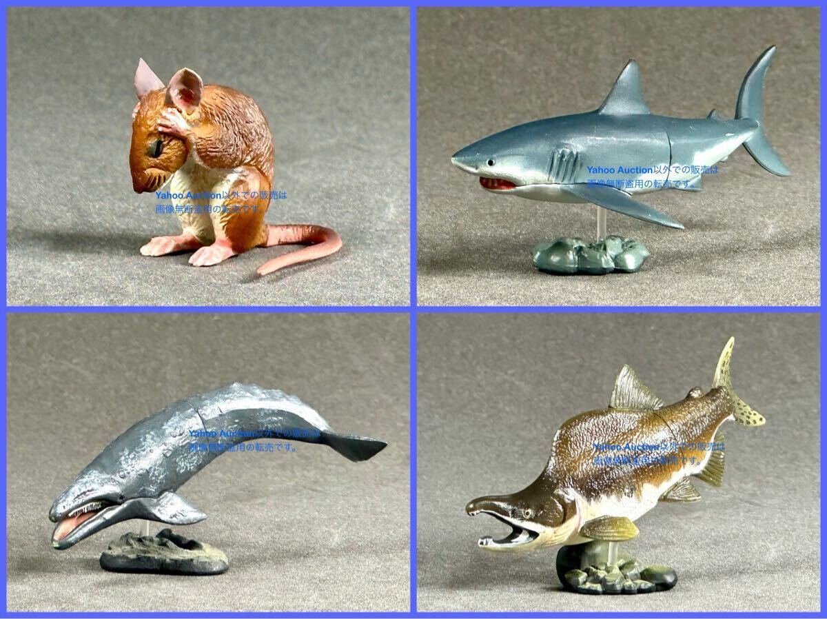 ☆海洋堂☆タカラ☆チョコQ☆日本の動物☆第11弾☆全17種 ☆海洋堂☆タカラ☆チョコQ☆日本の動物☆第11弾☆全17種