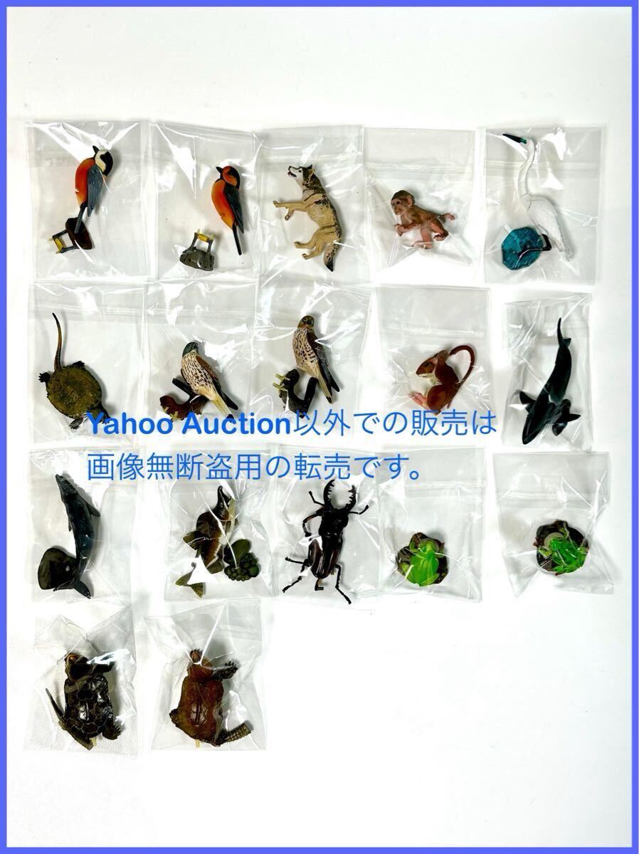 ☆海洋堂☆タカラ☆チョコQ☆日本の動物☆第11弾☆全17種 ☆海洋堂☆タカラ☆チョコQ☆日本の動物☆第11弾☆全17種