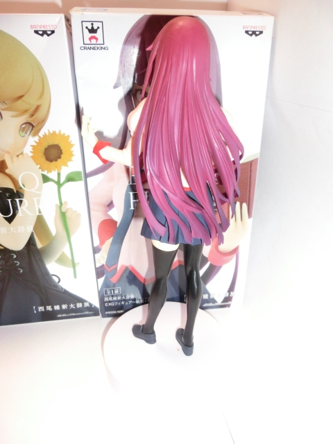 Amazon | 西尾維新大辞展限定 戦場ヶ原ひたぎ&忍野忍(せんじょう