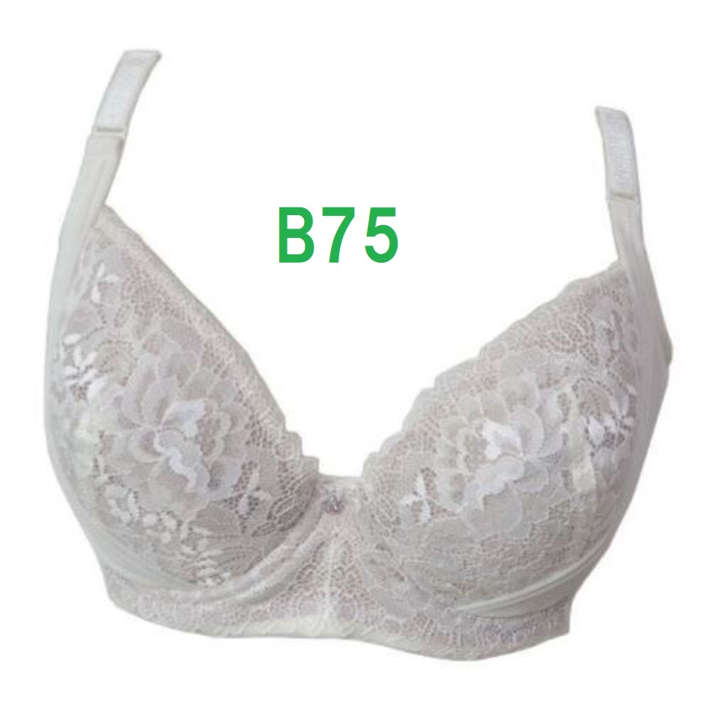 B75?シルクベージュ　脇高ブラジャー（ワイヤー入り）　補(bǔ)正下著　２重リフトアップパネル　カップ里 綿100％　定価：2189円　新品 