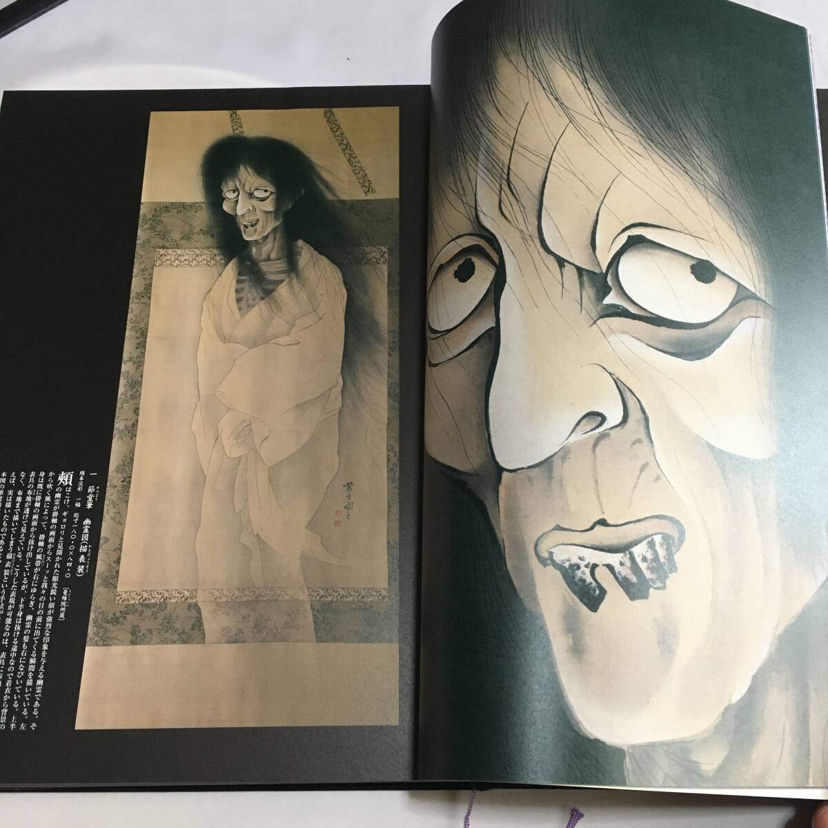 人類文化社 日本の幽霊名画集 安村敏信 日本画 幽霊画 浮世絵 人類文化社 日本の幽霊名画集 安村敏信 日本画 幽霊画 浮世絵