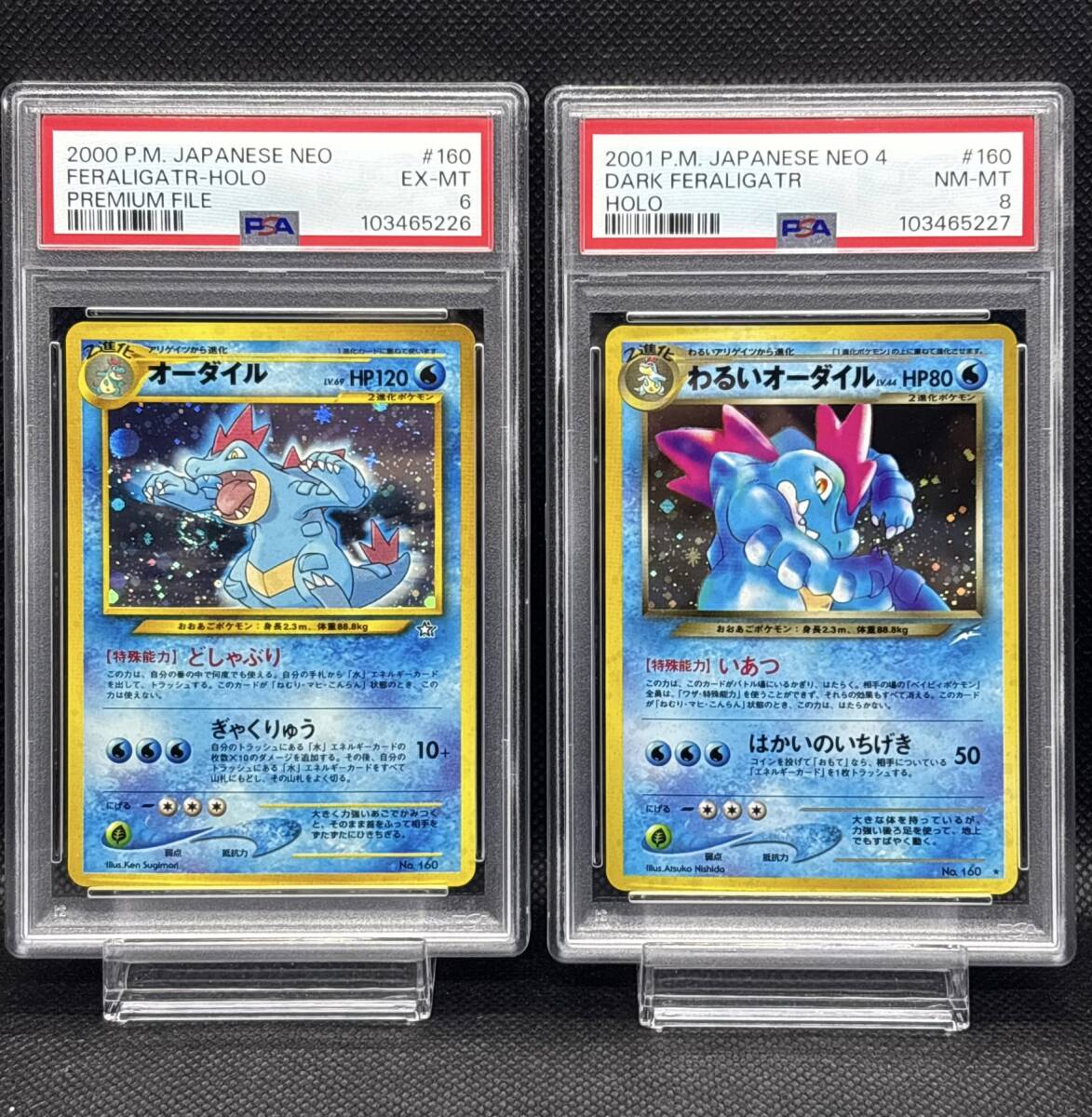 PSA 6 オーダイル No.160 プレミアムファイル PSA 8 わるい PSA 6 オーダイル No.160 プレミアムファイル PSA 8 わるい