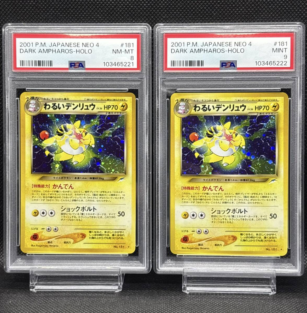 PSA 8・9 わるいデンリュウ No 181 ホロレア 旧裏 ポケモン PSA 8・9 わるいデンリュウ No 181 ホロレア 旧裏 ポケモン