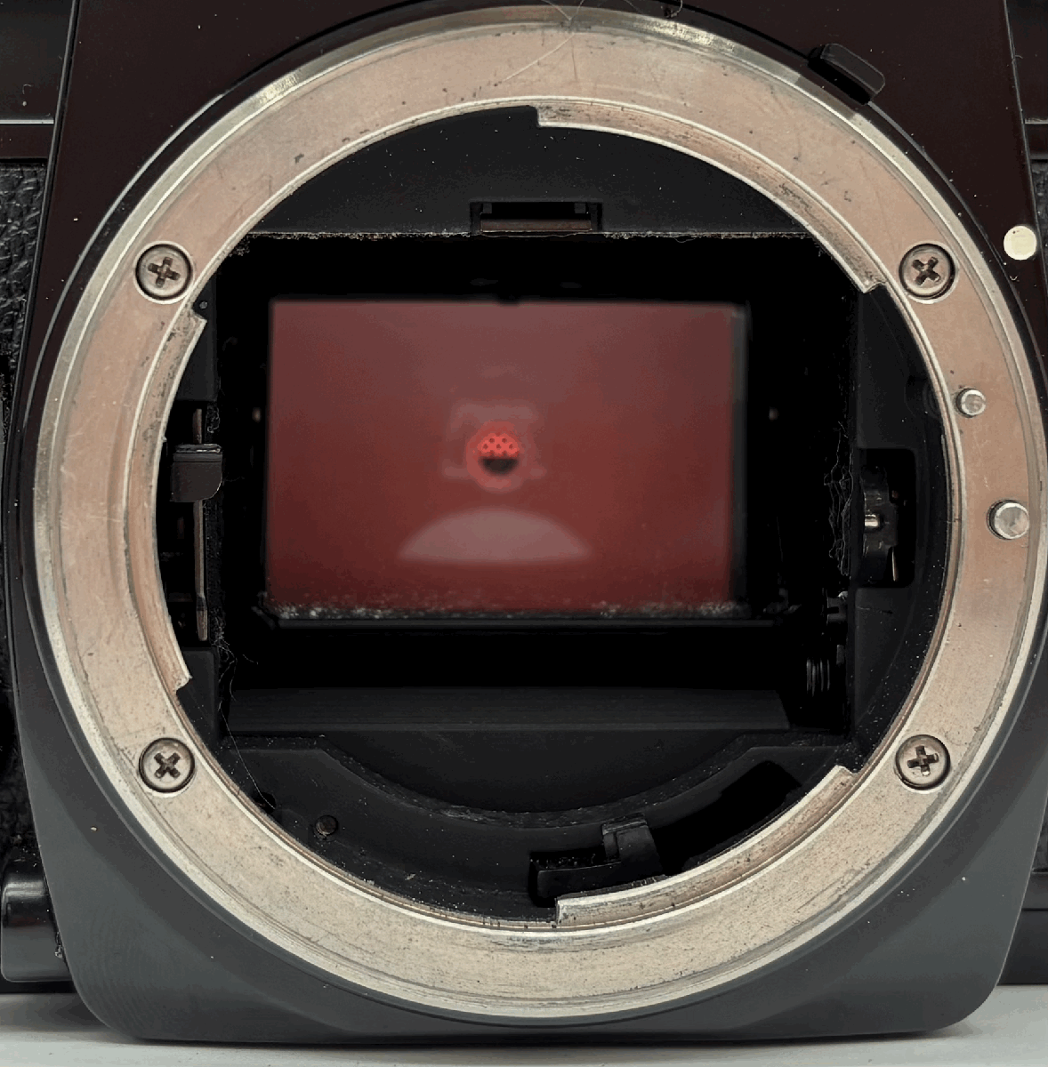 48 Nikon FA フィルムカメラ 一眼レフカメラ ボディ SERIES E 48 Nikon FA フィルムカメラ 一眼レフカメラ ボディ SERIES E