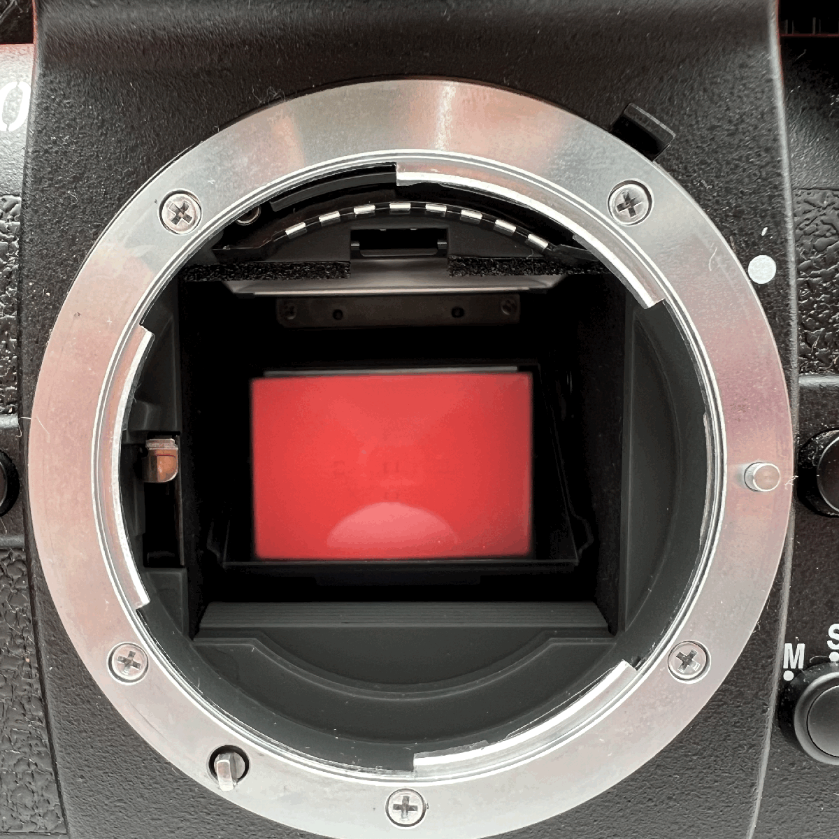 ♪60 Nikon F100 一眼レフカメラ フィルムカメラ ボディ AF動作 ♪60 Nikon F100 一眼レフカメラ フィルムカメラ ボディ AF動作