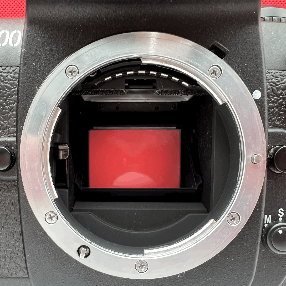 ♪04 Nikon F100 一眼レフカメラ フィルムカメラ ボディ AF動作 ♪04 Nikon F100 一眼レフカメラ フィルムカメラ ボディ AF動作