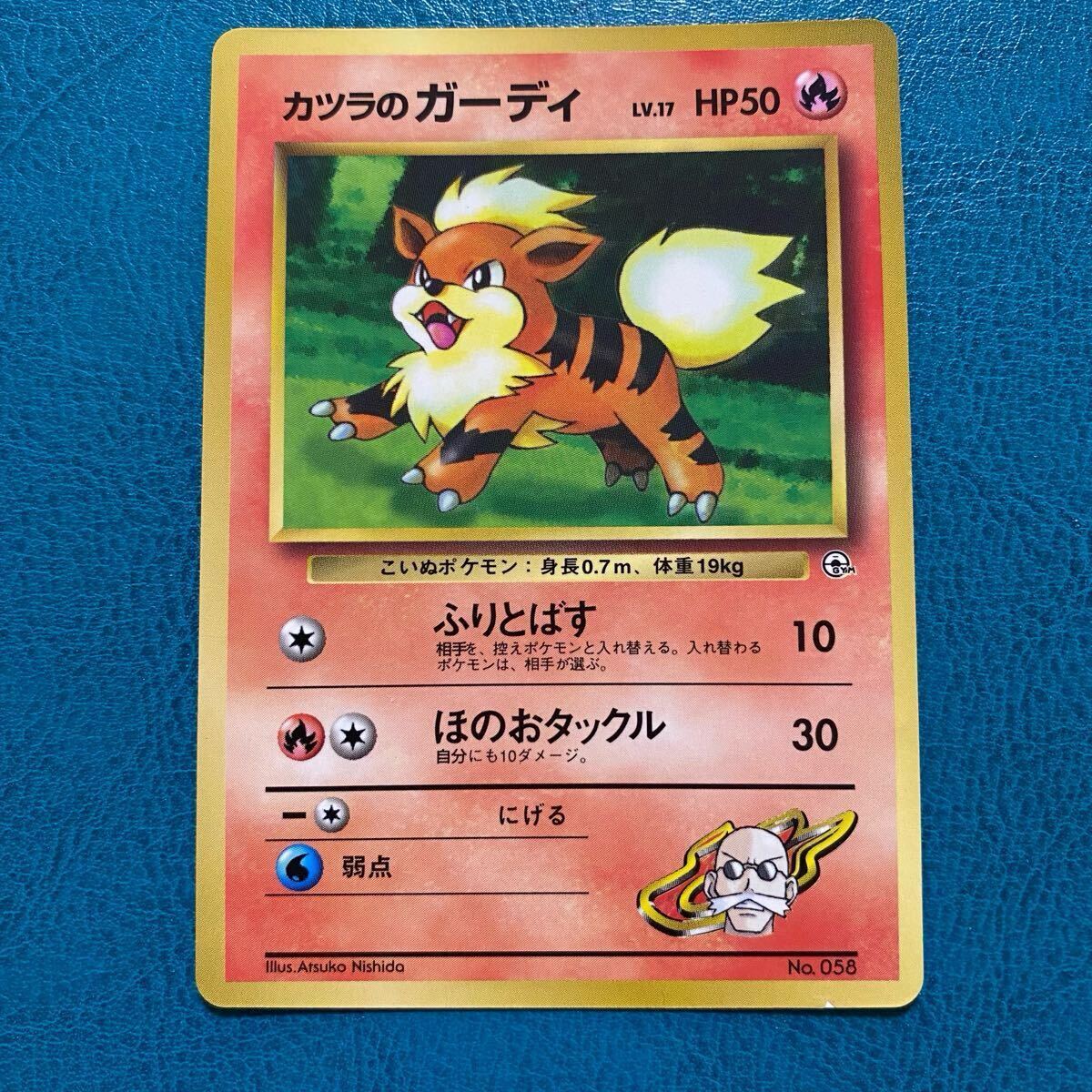 ポケモンカード ポケカ 旧裏面 月刊コロコロコミック 1999年3月 ポケモンカード ポケカ 旧裏面 月刊コロコロコミック 1999年3月