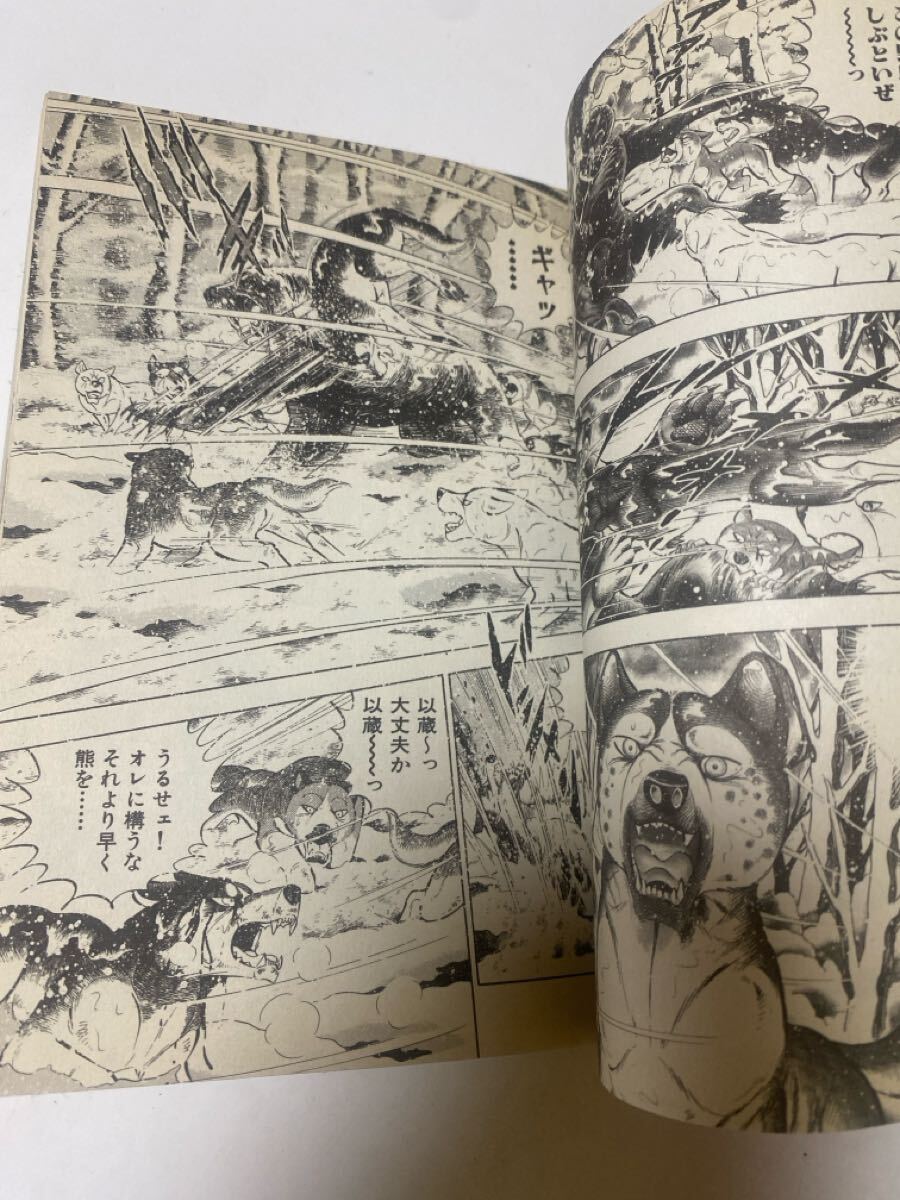 銀牙伝説Weed 13巻 初版(少年)|売買されたオークション情報 銀牙伝説Weed 13巻 初版(少年)|売買されたオークション情報