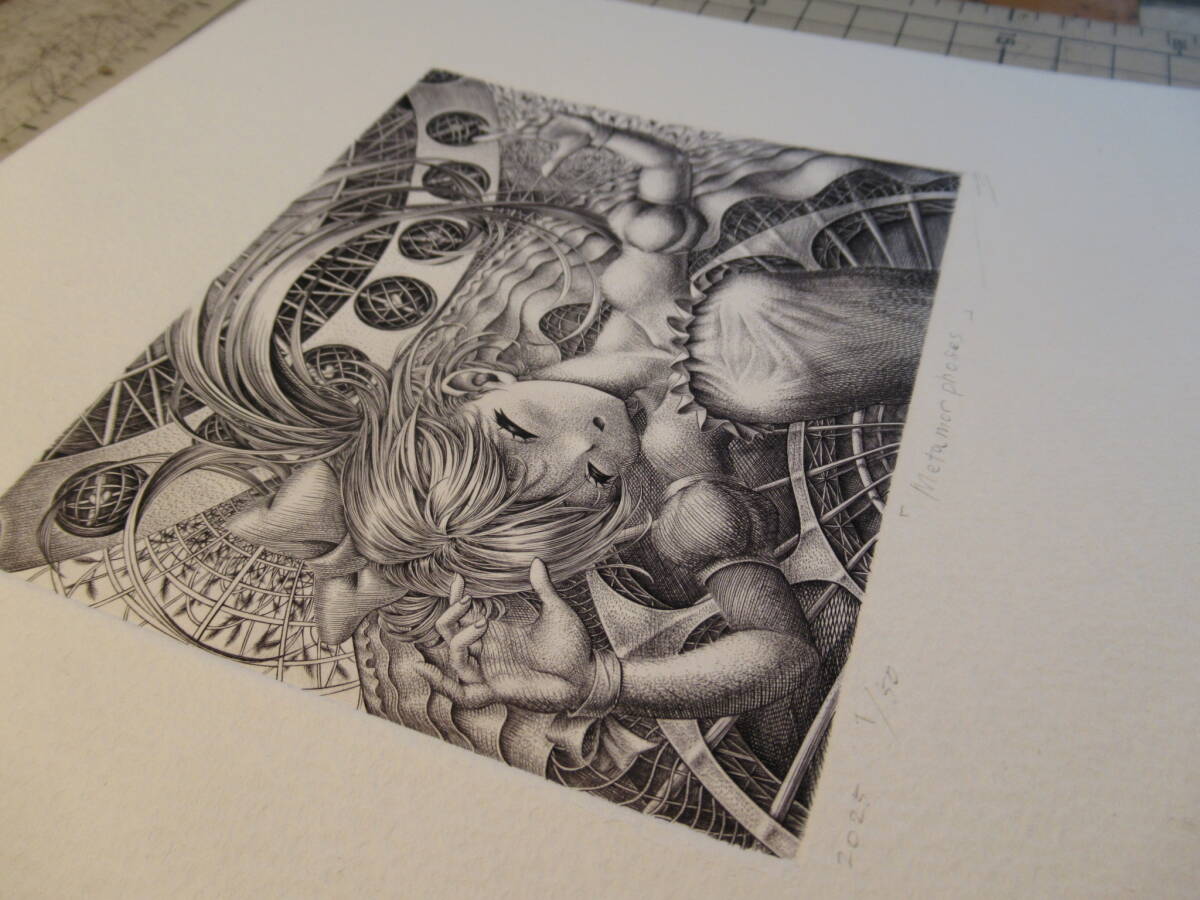☆萌銅版画 No426「metamorphoses」 ed1/50 一円出品 サイン ☆萌銅版画 No426「metamorphoses」 ed1/50 一円出品 サイン