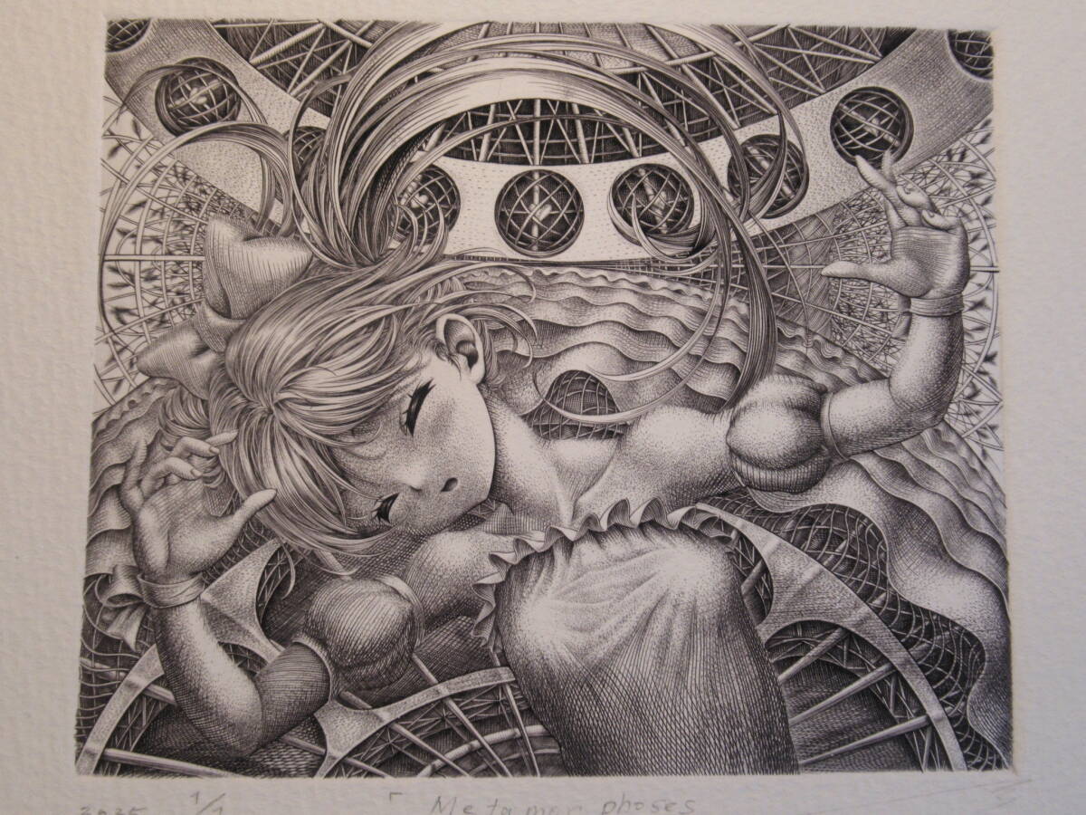 銅版画+原版セットNo426「metamorphoses」ed1/1+ed2/200(通常 銅版画+原版セットNo426「metamorphoses」ed1/1+ed2/200(通常