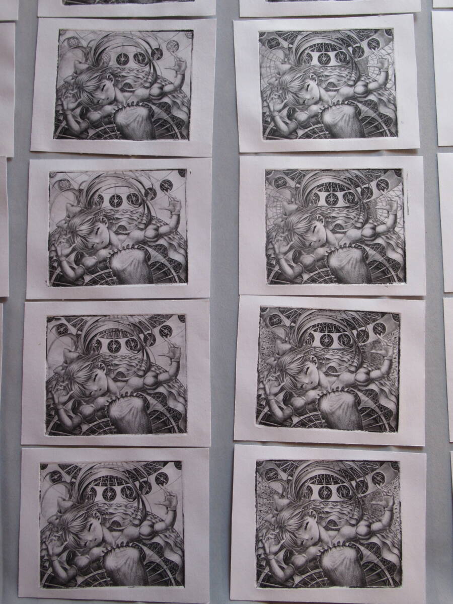 萌銅版画 No426「metamorphoses」試刷りセット 試刷り36枚+ed10 萌銅版画 No426「metamorphoses」試刷りセット 試刷り36枚+ed10