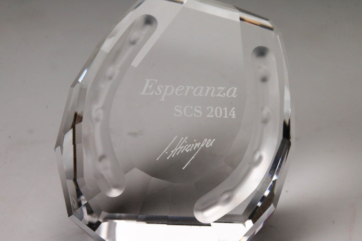 佳香】SWAROVSKI スワロフスキー 2014年 SCS会員限定品『Horse 佳香】SWAROVSKI スワロフスキー 2014年 SCS会員限定品『Horse