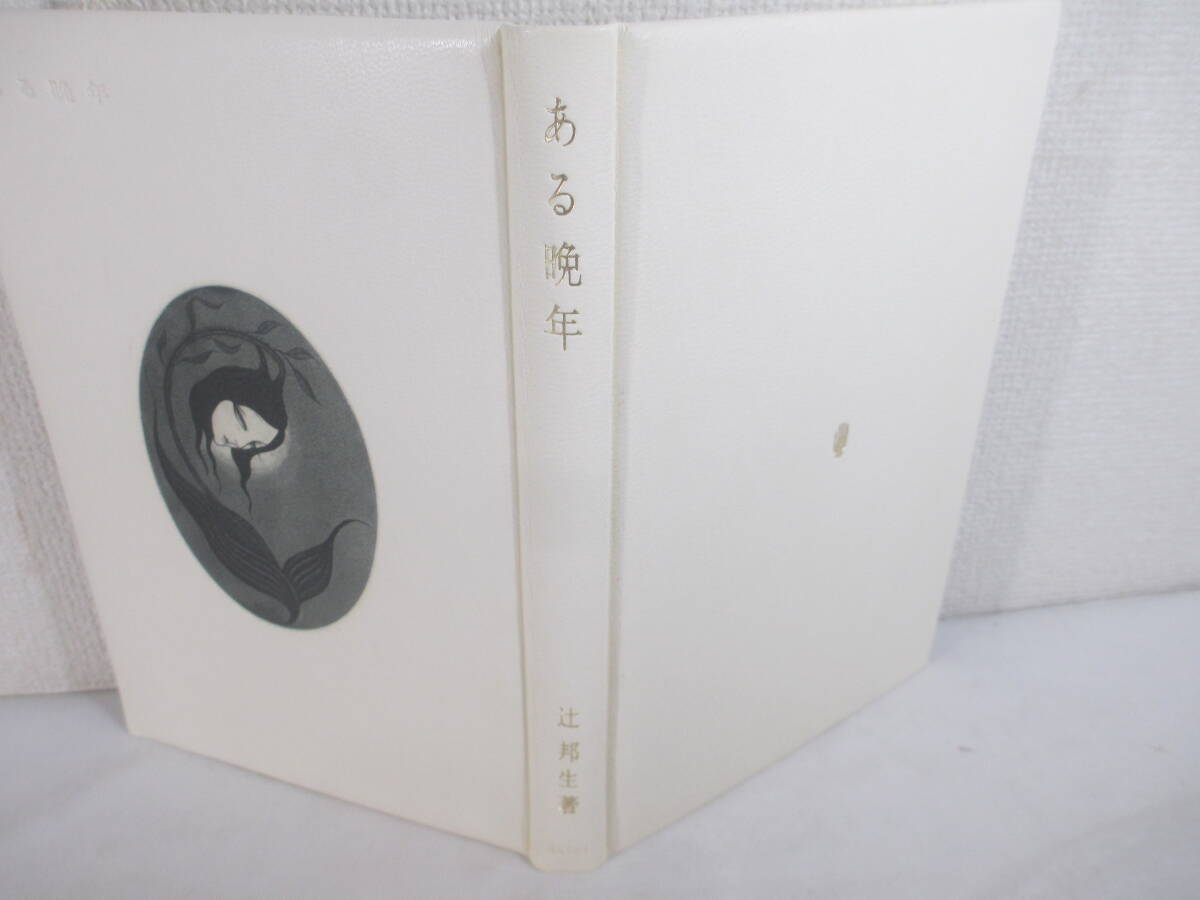 ある晩年 辻邦生 署名 特装30部本 小林ドンゲ銅版画表紙・口絵 ある晩年 辻邦生 署名 特装30部本 小林ドンゲ銅版画表紙・口絵