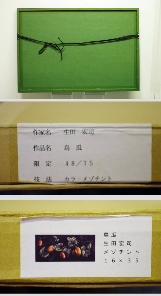 ☆コレ売切り! 生田宏司 烏瓜 M5号 2005年 直筆鉛筆サイン 静謐 ☆コレ売切り! 生田宏司 烏瓜 M5号 2005年 直筆鉛筆サイン 静謐