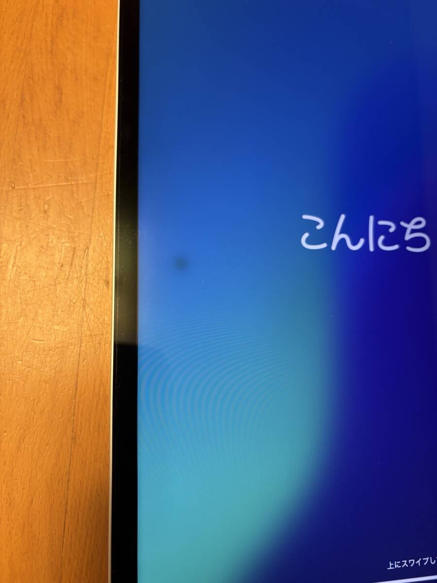 iPad Pro 12.9 第5世代 256GB セルラーモデル 付属品あり(iPad iPad Pro 12.9 第5世代 256GB セルラーモデル 付属品あり(iPad
