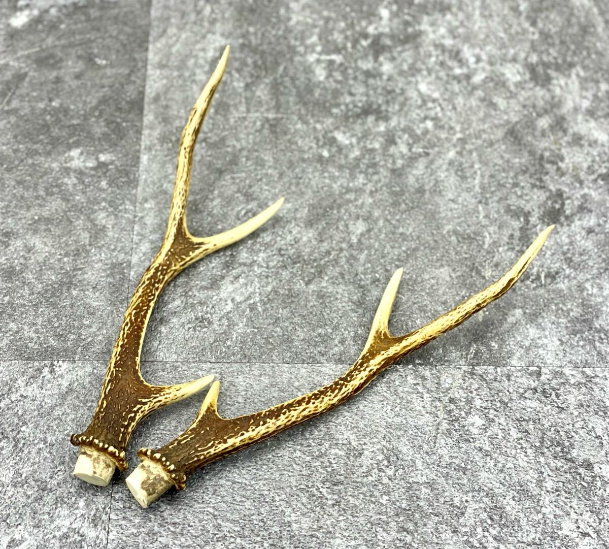鹿角 鹿の角 ハンティングトロフィー 長さ約29cm 剥製 刀掛け 鹿角 鹿の角 ハンティングトロフィー 長さ約29cm 剥製 刀掛け