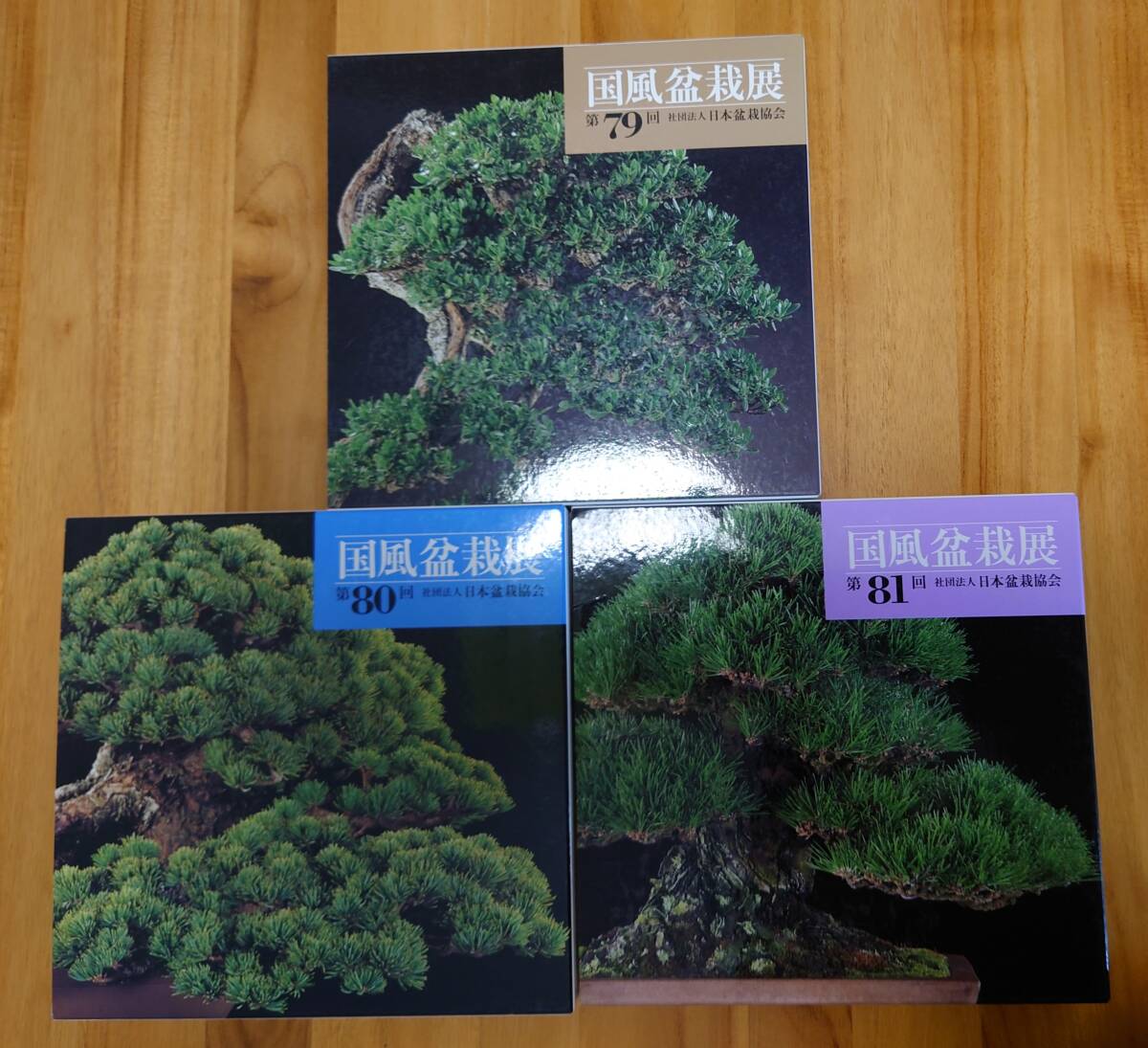 國(guó)風(fēng)盆栽展　作品寫真集?。硟?cè)（第７９-８１回）　