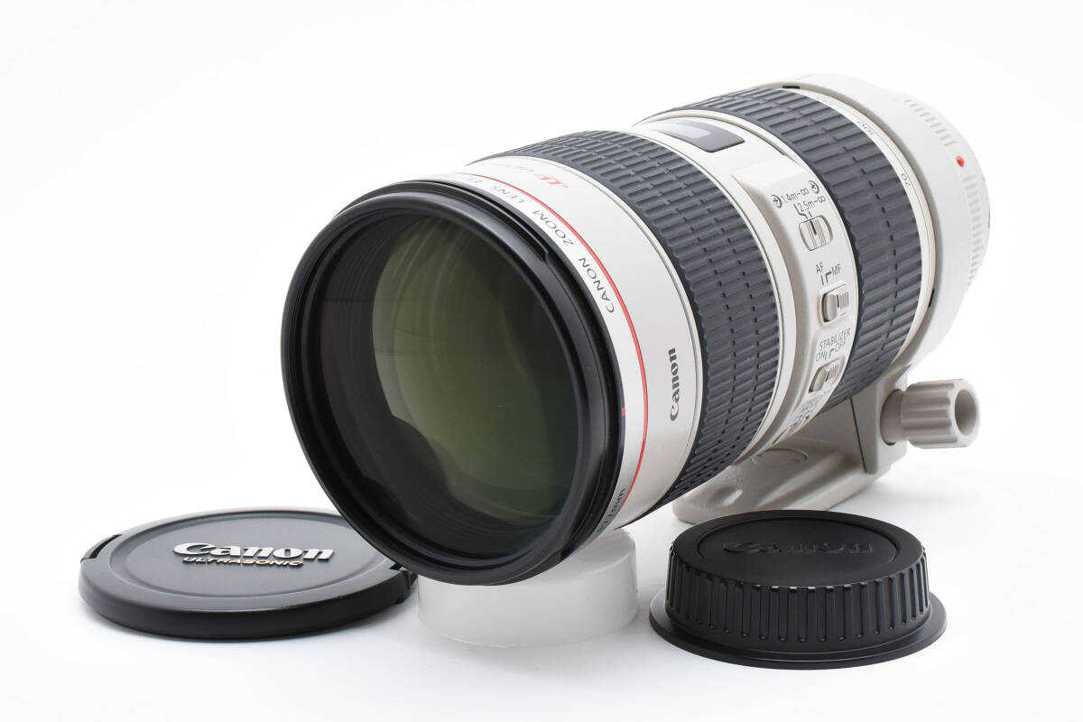 Canon キヤノン EF 70-200mm 1:2.8L IS USM ULTRASONIC 望遠 Canon キヤノン EF 70-200mm 1:2.8L IS USM ULTRASONIC 望遠