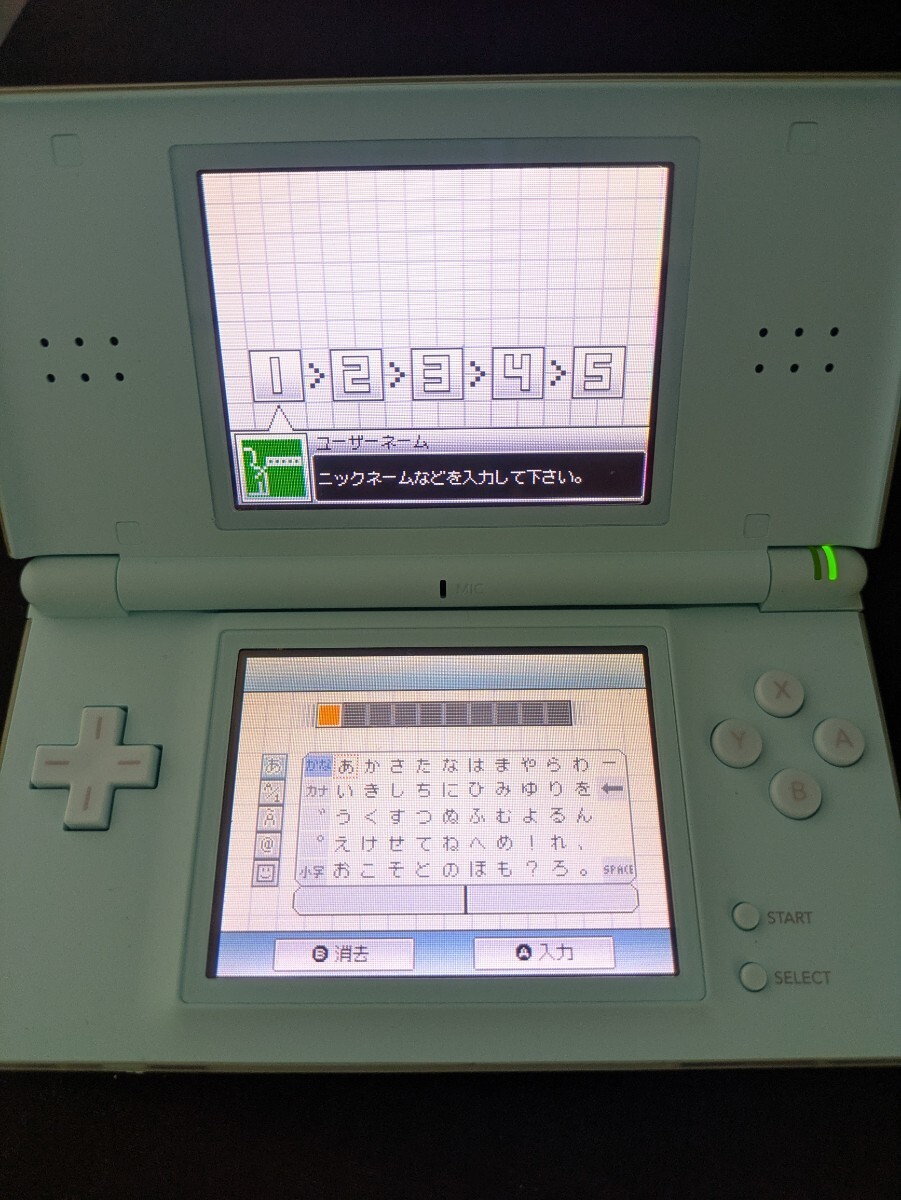 Nintendo ニンテンドーDSライト 2台 ソフト4本 まとめて Nintendo ニンテンドーDSライト 2台 ソフト4本 まとめて
