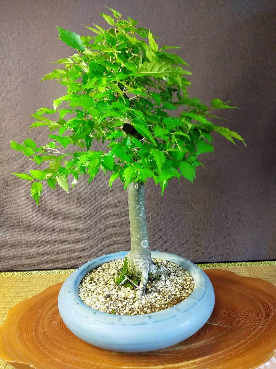 item_image_4