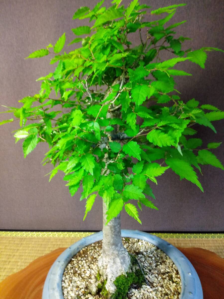 item_image_7