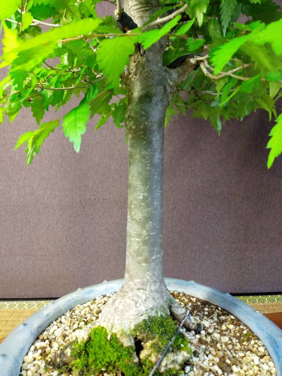 item_image_10