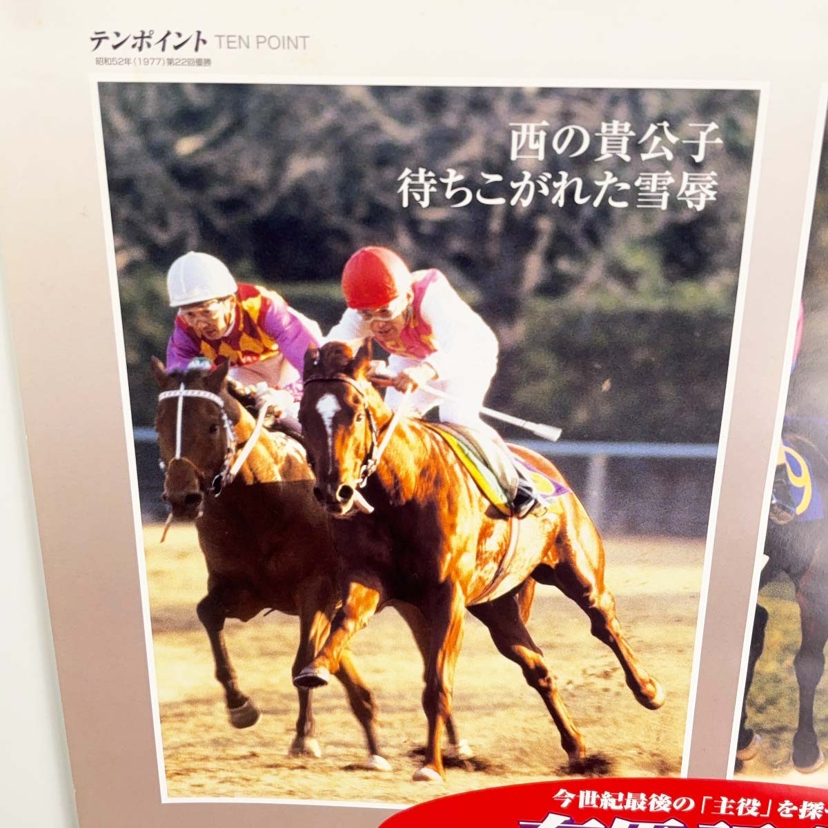 中古】第45回有馬記念 ポスター 中山競馬場 B2サイズ 中古】第45回有馬記念 ポスター 中山競馬場 B2サイズ