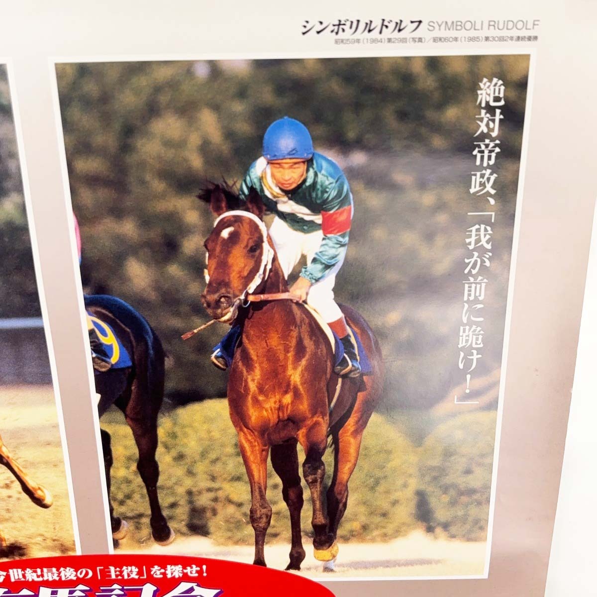 中古】第45回有馬記念 ポスター 中山競馬場 B2サイズ 中古】第45回有馬記念 ポスター 中山競馬場 B2サイズ