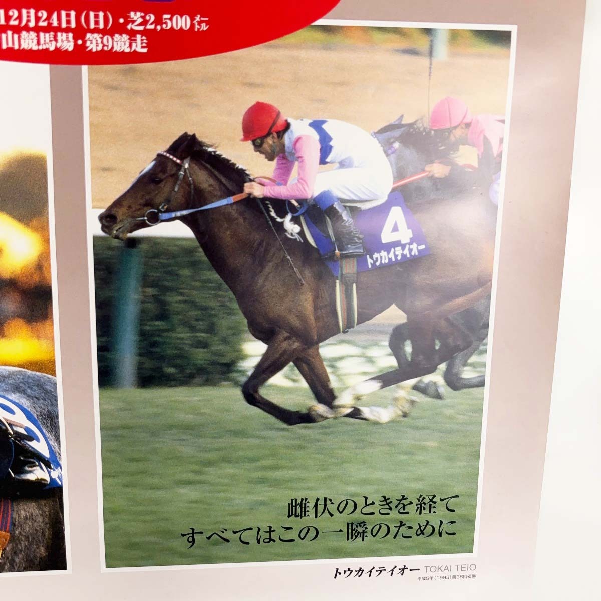 中古】第45回有馬記念 ポスター 中山競馬場 B2サイズ 中古】第45回有馬記念 ポスター 中山競馬場 B2サイズ