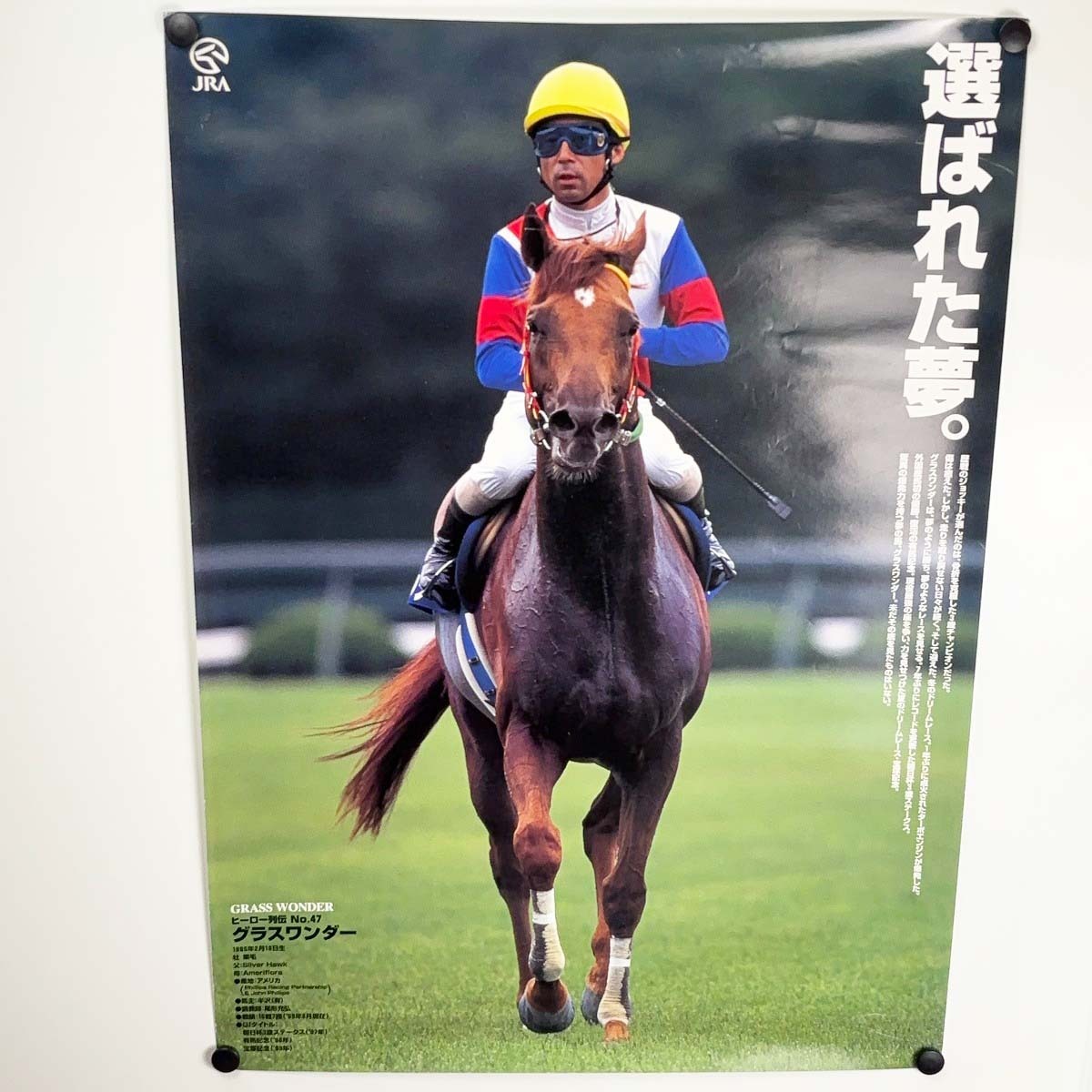 中古】ヒーロー列伝 No.47 グラスワンダー ポスター B2サイズ 中古】ヒーロー列伝 No.47 グラスワンダー ポスター B2サイズ