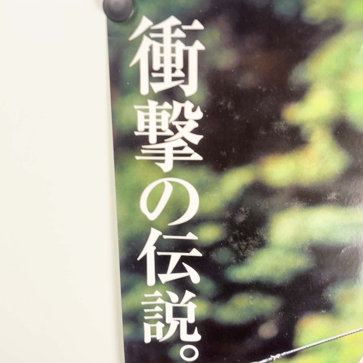 中古】ヒーロー列伝 No.51 アグネスタキオン ポスター B2サイズ 中古】ヒーロー列伝 No.51 アグネスタキオン ポスター B2サイズ