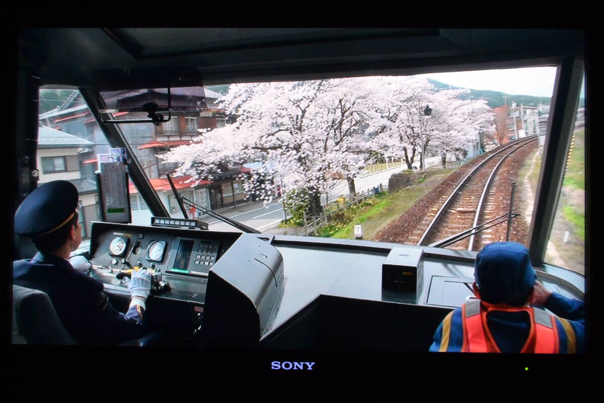 高山本線・桜・満開 ありがとうキハ85系 特急ワイドビューひだ11 高山本線・桜・満開 ありがとうキハ85系 特急ワイドビューひだ11