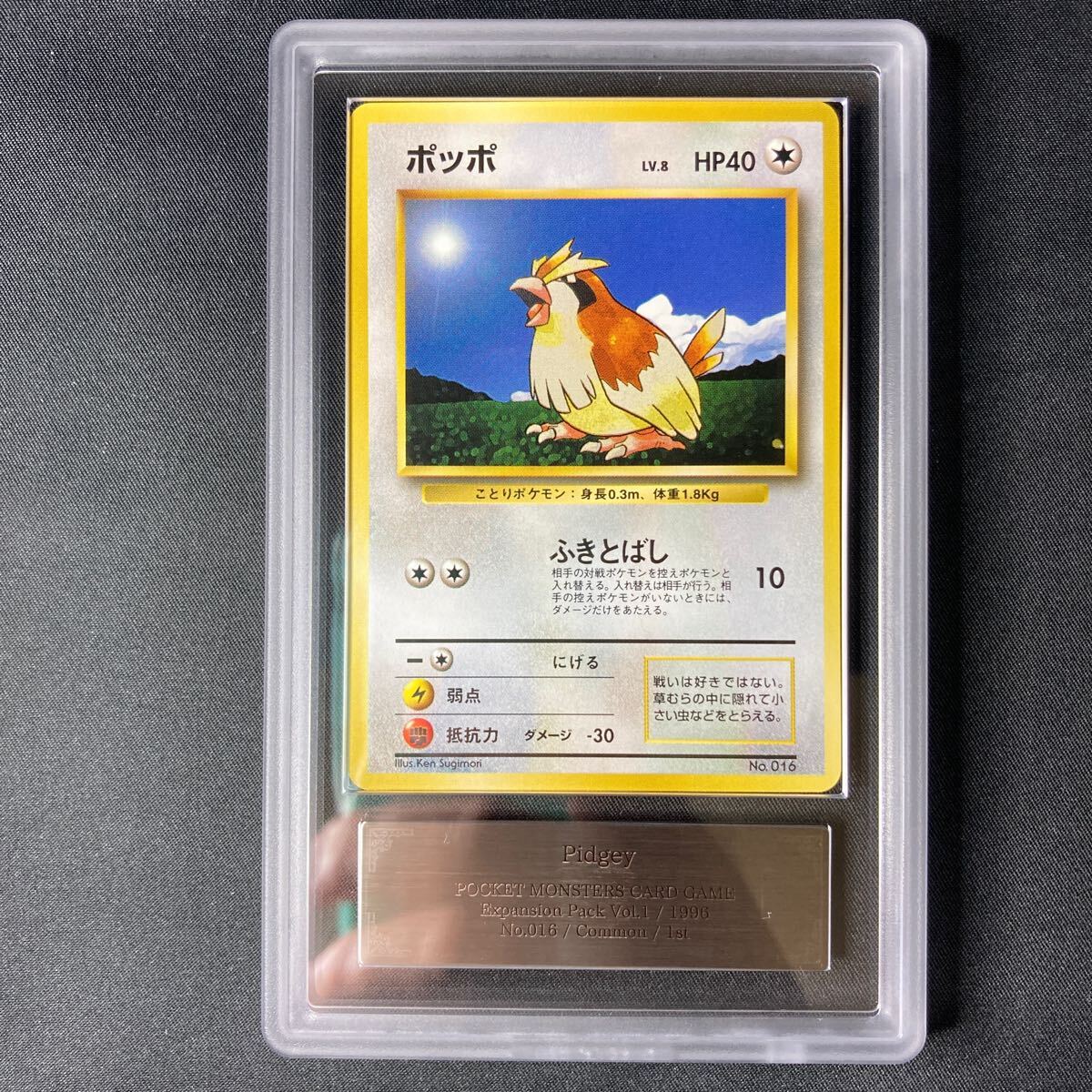 1円スタート】ポケモンカード 旧裏面 初版 ポッポ ARS9 Pokmon 1円スタート】ポケモンカード 旧裏面 初版 ポッポ ARS9 Pokmon