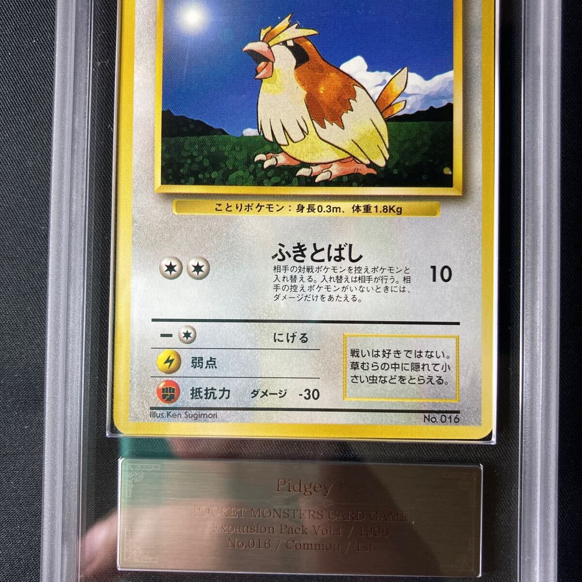 1円スタート】ポケモンカード 旧裏面 初版 ポッポ ARS9 Pokmon 1円スタート】ポケモンカード 旧裏面 初版 ポッポ ARS9 Pokmon