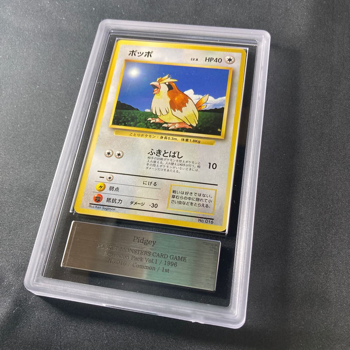 1円スタート】ポケモンカード 旧裏面 初版 ポッポ ARS9 Pokmon 1円スタート】ポケモンカード 旧裏面 初版 ポッポ ARS9 Pokmon