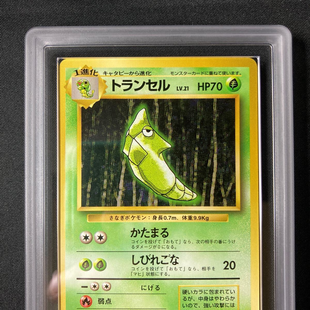 ARS10】【1円スタート】 ポケモンカード 旧裏 初版 トランセル ARS10】【1円スタート】 ポケモンカード 旧裏 初版 トランセル